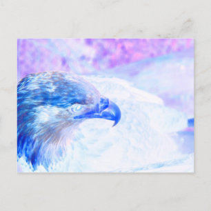 Carte Postale aigle bleu pourpre face droite