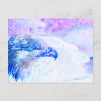 Carte Postale aigle bleu pourpre face droite