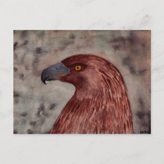 Carte Postale Aigle Brown