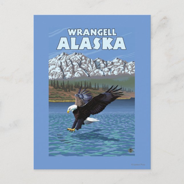 Carte Postale Aigle chauve en piqué - Wrangell, Alaska (Devant)