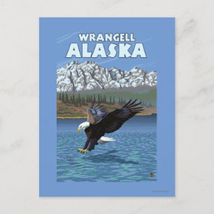 Carte Postale Aigle chauve en piqué - Wrangell, Alaska