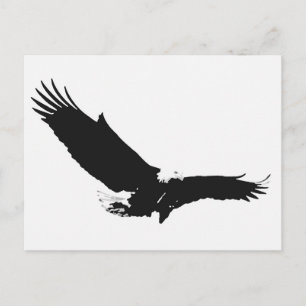 Carte Postale Aigle d'atterrissage noir et blanc