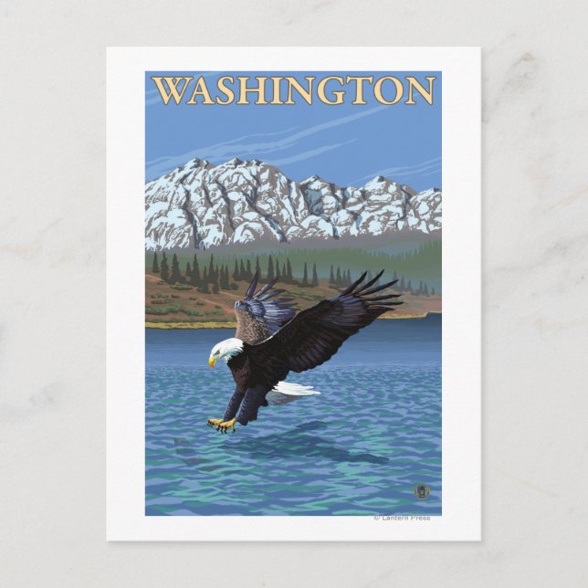 Carte Postale Aigle de plongée de Washington (Devant)