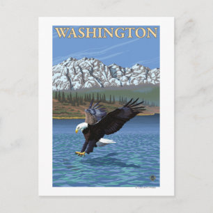 Carte Postale Aigle de plongée de Washington