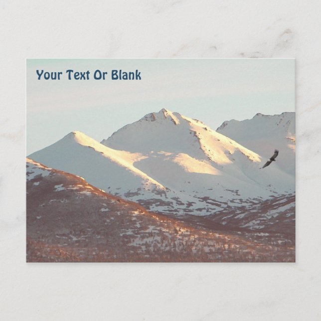 Carte Postale Aigle d'hiver (Devant)