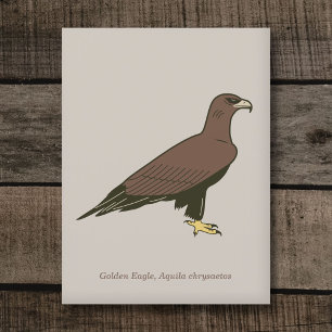Carte Postale Aigle d'or