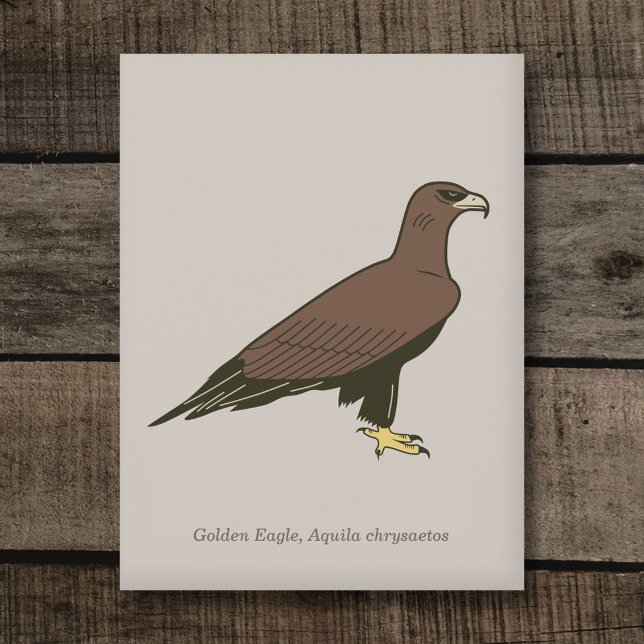 Carte Postale Aigle d'or (Golden Eagle Postcard)