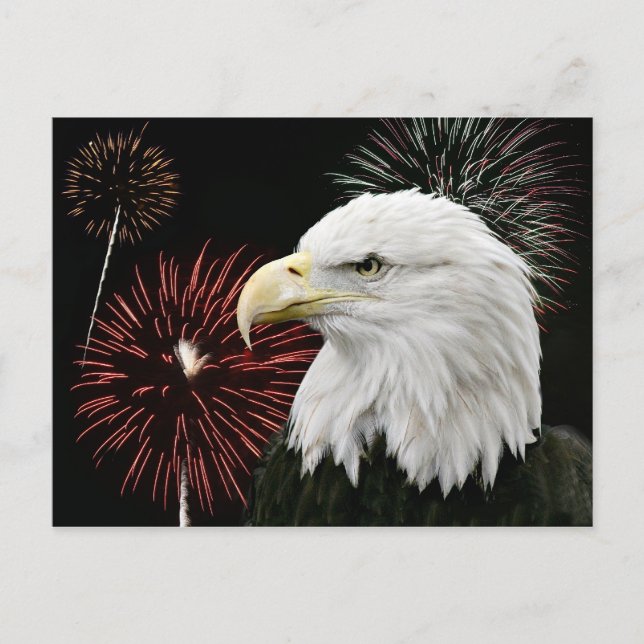 Carte Postale Aigle du jour de l'indépendance (Devant)