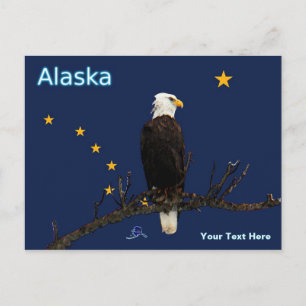 Carte Postale Aigle Et Drapeau De L'Alaska