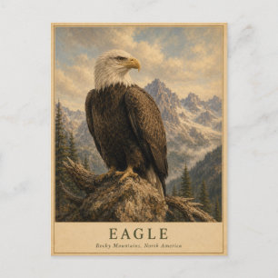 Carte Postale Aigle Montagnes Rocheuses VINTAGE