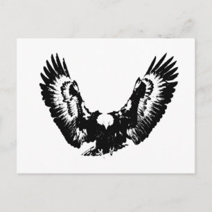 Carte Postale Aigle noir et blanc