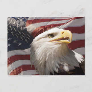 Carte postale Aigle patriotique