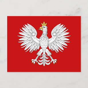 Carte Postale Aigle polonais