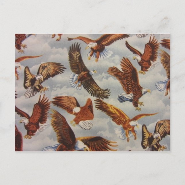 Carte Postale Aigles chauds en vol (Devant)