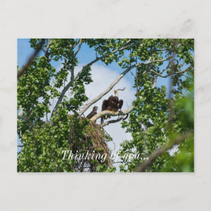Carte postale Aigles Chauds Pensant à Vous