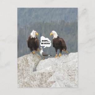 Carte Postale Aigles drôles et mouette