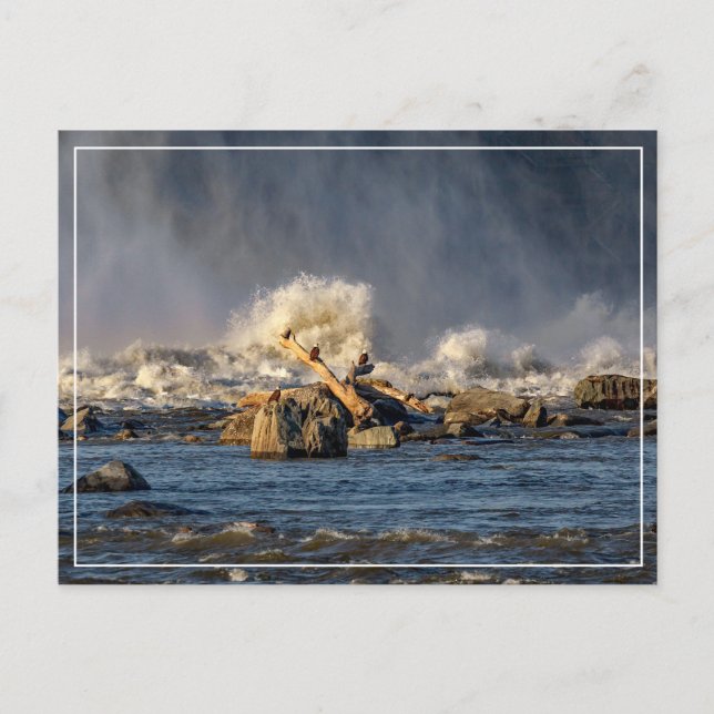 Carte Postale Aigles Et Eau Brute (Devant)