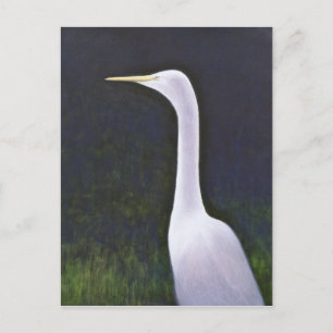 Carte Postale Aigrette blanche