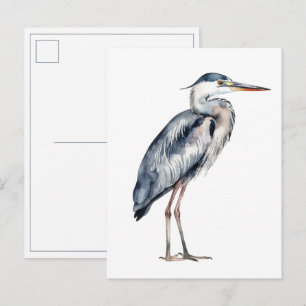 Carte Postale Aigrette bleue côtière