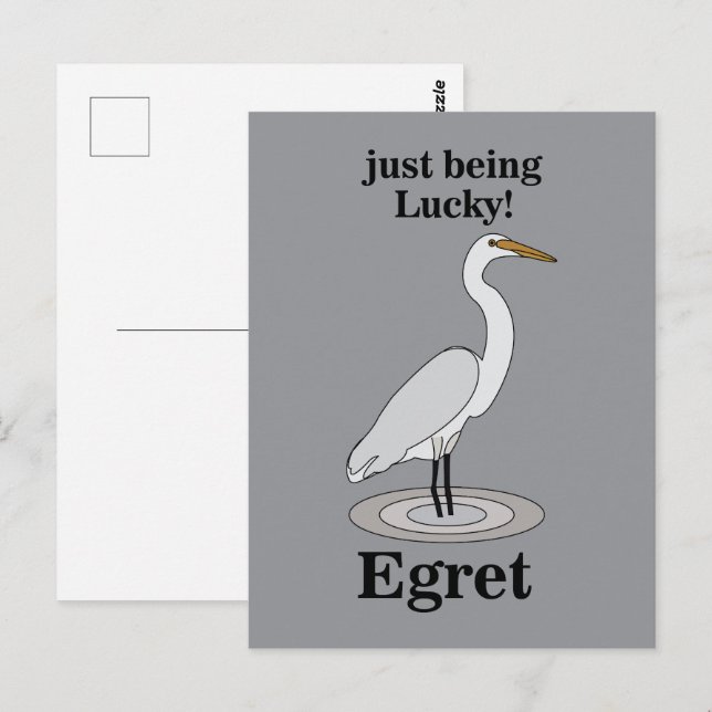 Carte Postale Aigrette Oiseau Chanceux (Devant / Derrière)