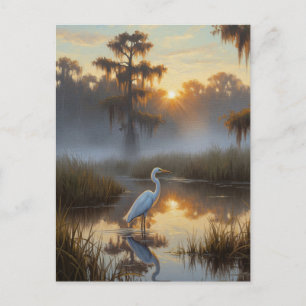 Carte Postale Aigrettes dans le Parc National des Everglades Mat