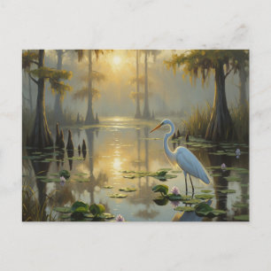 Carte Postale Aigrettes dans le Parc National des Everglades Mat