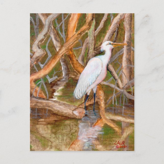 Carte Postale Aiguille de la mangrove no 2 (Devant)