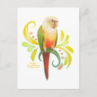 Aiguille verte Joue Conure