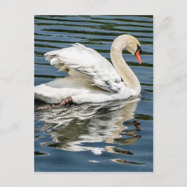 Carte Postale Ailes (Devant)