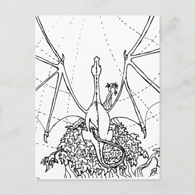 Carte postale - Ailes de dragon (Devant)