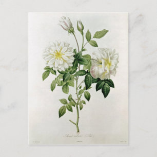 Carte Postale Aime Vibere gravée par Eustache Hyacinthe