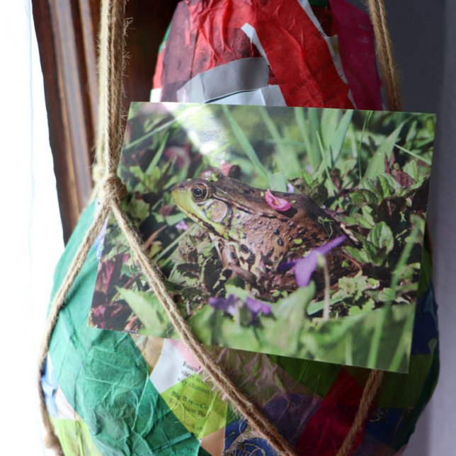 Carte Postale Aimer le crapaud (Créateur téléchargé)