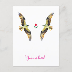 Carte Postale Aimer les oiseaux. Ospreys