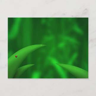 Carte Postale Aimer les Verts !