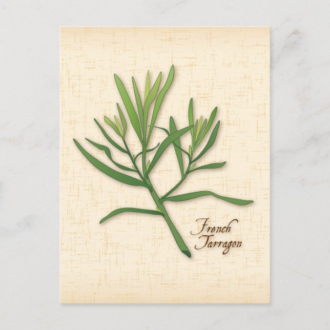 Carte Postale Aimez le Tarragon Français ? Envoyer une (Devant)