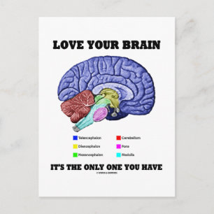 Carte Postale Aimez votre cerveau C'est le seul que vous ayez (C