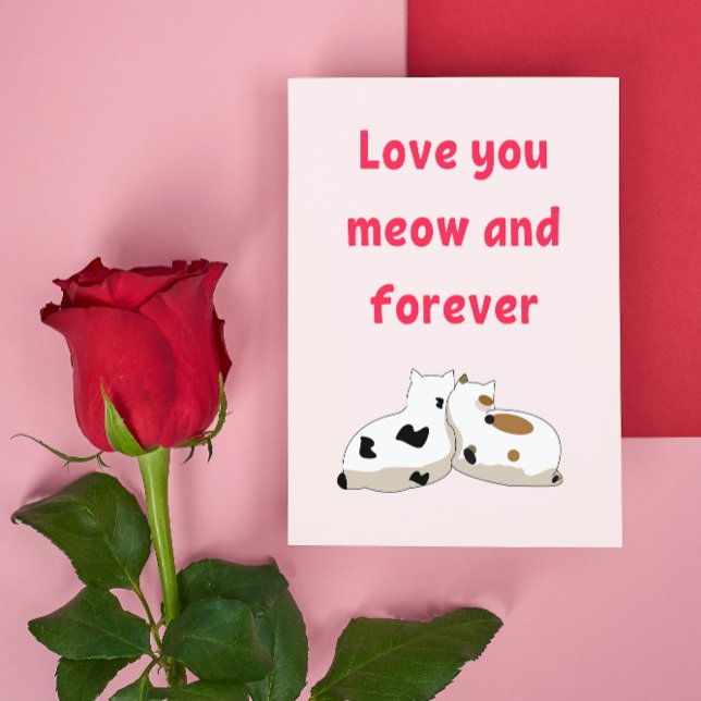Carte Postale Aimez-vous miow et pour toujours | Cats Valentines (Créateur téléchargé)