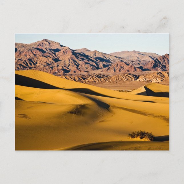 Carte Postale Aire de jeu désertique (Devant)