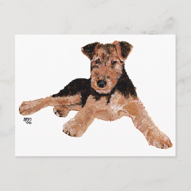 Carte Postale Airedale, Lakeland, chiot Welsh Terrier (Devant)
