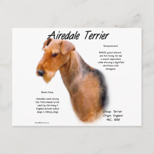 Carte Postale Airedale Terrier Histoire