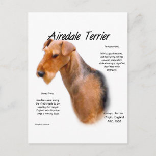 Carte Postale Airedale Terrier Histoire