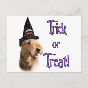 Carte Postale Airedale Terrier Trick
