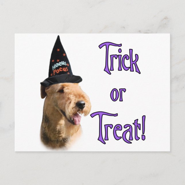 Carte Postale Airedale Terrier Trick (Devant)