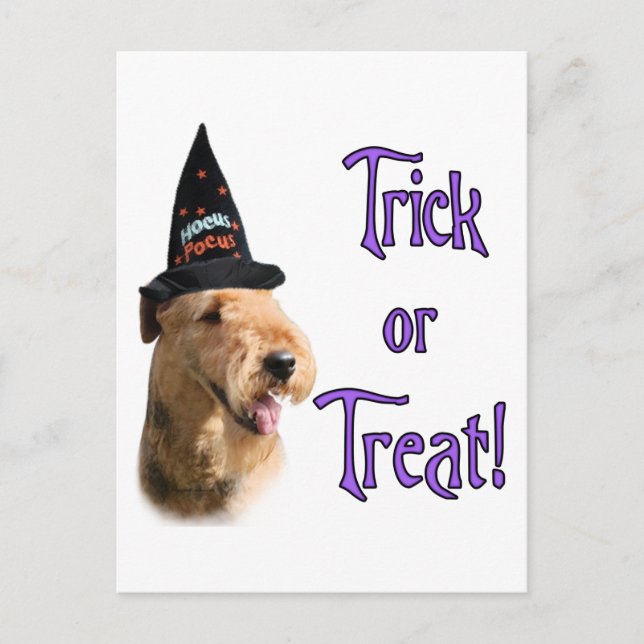 Carte Postale Airedale Terrier Trick (Devant)