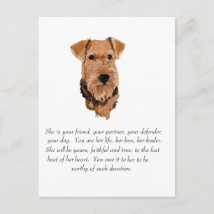 Carte Postale Airedale, Welsh, Lakeland Terrier Souvenir