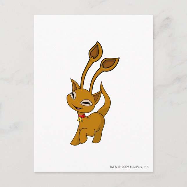 Carte Postale Aisha Brown (Devant)