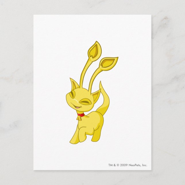 Carte Postale Aisha Gold (Devant)