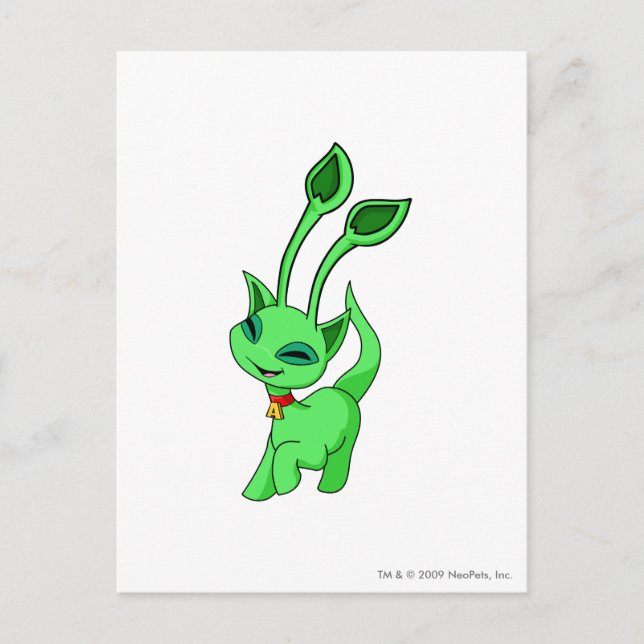 Carte Postale Aisha Green (Devant)