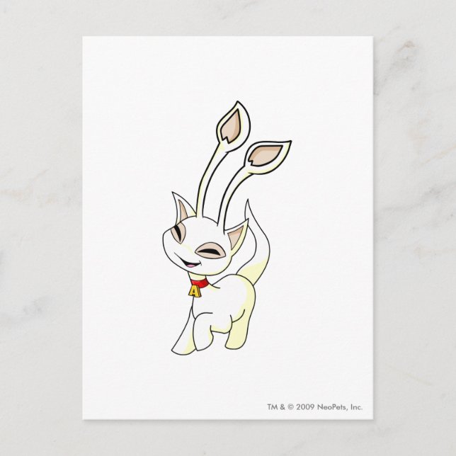 Carte Postale Aisha White (Devant)