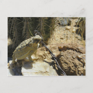 Carte Postale AJOUTEZ VOTRE PROPRE TEXTE à la position proposée